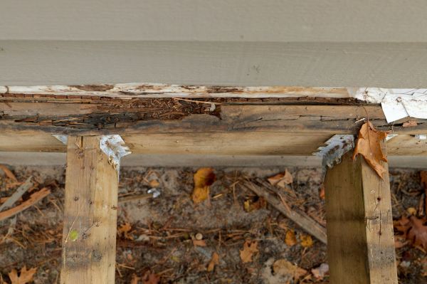 Grand Rapids Wood Rot Repair