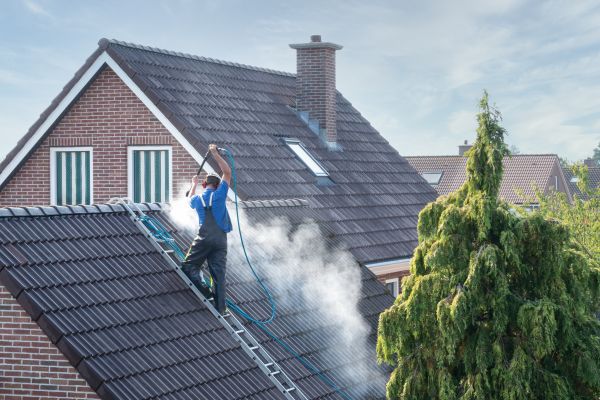 Grand Rapids Roof Cleaning