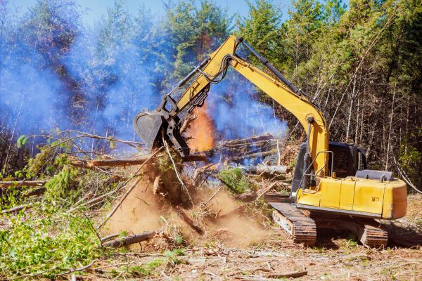 Grand Rapids Land Clearing